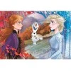 Clementoni Dėlionė 60 vnt. - Frozen 2