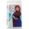 „Disney“ „Ledo šalies nuotykių“ mini meno rinkinys