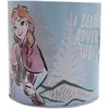 „Disney“ „Ledo šalis“ metalinis pieštukų dėklas 10,5 cm