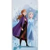Disney „Ledo šalis“ miegmaišis