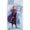 Disney „Ledo šalis“ miegmaišis