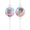 Globos Europe Bv GoDan Rurki papierowe su medalionem Frozen 2 4vnt.