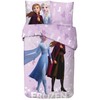Disney Ledo šalis stebuklingas šerkšnas √°gynem≈±huzat 140–200 cm, 65 x 65 cm