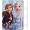 Disney „Ledo šalis“ užburianti žiema, A/5 linijinis sąsiuvinis, 80 puslapių