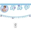 GoDan Banner Frozen 2: Wind Spirit - Happy Birthday