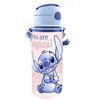 Dygsnio aliuminio butelis 600 ml