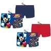 Disney Mickey Mishmash vaikiški maudymosi šortai 2-6 metų vaikams