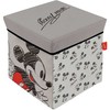 Disney Mickey pilka žaislų laikymo dėžė 30√ó30√ó30 cm