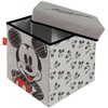 Disney Mickey pilka žaislų laikymo dėžė 30√ó30√ó30 cm
