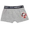 Disney Mickey vaikiški bokseršortai, 2 vnt. pakuotėje, 4/5 metai