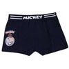 Disney Mickey vaikiškos bokserinės kelnaitės (2 vnt. pakuotėje), 6/8 metų