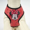 Šuns pakinktai Minnie Mouse