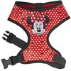 Šuns pakinktai Minnie Mouse
