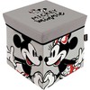 Disney Minnie, Mikio žaislų laikymo dėžė 30√ó30√ó30 cm