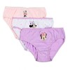 Disney Minnie Violetinė Dots vaikiški apatiniai, kelnaitės, 3 vnt. pakuotėje 5-6 metai / 110-116 cm