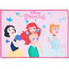 Disney Princess Bird rankšluostis, veido rankšluostis, rankšluostis 40x30 cm