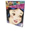 „Disney Princess Kind“ vaikiškos patalynės komplektas 90–140 cm, 40–55 cm
