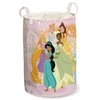 Disney Princess Stars skalbinių krepšys 52x30 cm