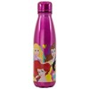 STOR Disney Princess aliuminio bottle 600ml