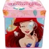 Disney Princess žaislų laikymo vieta 30√ó30√ó30 cm