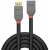DisplayPort Kabelis - Lindy 1m DisplayPort 1.4 Pratęsimo Kabelis 32.4Gbps 7680x4320@60Hz Anthra Line