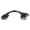 Kabelis StarTech DMS- 59 - D-Sub (VGA) x2 0.2m juoda (DMSVGAVGA1)