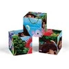Clementoni CLE Cubi klocki 12 Dora 41510