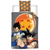 „Dragon Ball Cosmic Warrior“ patalynės komplektas 140–200 cm, 65–65 cm