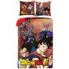 „Dragon Ball Gods“ patalynės komplektas 140–200 cm, 70–90 cm mikropluošto