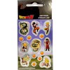 „Dragon Ball Snake“ holografinių lipdukų rinkinys