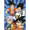 „Dragon Ball“ vilnos antklodė 100x140 cm