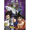 Toei Animation Dragon Ball Super polar blanket