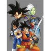 Toei Animation Dragon Ball Super polar blanket