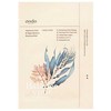 Ondo Beauty 36.5 CHOK-CHOK Hyaluronic Acid &amp; Algae Moisture Boosting Mask 25 g