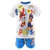 Dviejų dalių rinkinys „Paw Patrol“, 4 metai