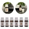 Drėkintuvas Kvapieji aliejai - 6 vnt. rinkinys, 10 ml, Ruhhy 21939