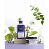 Phyto Paris "Phyto Violet" šampūnas 250ml