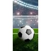 Futbolo rankšluostis, paplūdimio rankšluostis 70x140cm