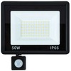 LED prožektorius su judesio ir šviesos jutikliu 50W 6000K IP66
