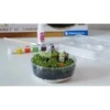 Harry Potter Clementoni Hagrid's Hut Terrarium -kasvatussetti