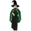 Boland Traciks Professor McGonagall kostume