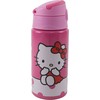Hello Kitty saldus aliuminio buteliukas su kabliuku 500 ml