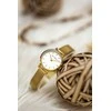 Vyriškas laikrodis HUGO BOSS 1513477 - GRAND PRIX (zh022c)