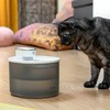 InnovaGoods Poidło su judesio jutikliu dla kota / psa