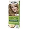 Schwarzkopf Palette Naturals Color Creme 12.1 Extra Light Ash Skirtas šviesiems plaukams