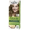Schwarzkopf Palette Naturals Color Creme 12.1 Extra Light Ash Skirtas šviesiems plaukams