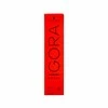 plaukų dažai Schwarzkopf Igora Royal TakeOver Lucid Nocturnes 5-113 šviesiai rudas Cendre Extra Matt 60ml