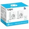 Maršrutizatorius TP-LINK TPLINK Smart-Stecker SmartStecker TAPO P100(2-PACK) P100(2PACK)