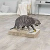 Trixie Toy kartoninis įbrėžimas, 38 × 30 cm, baltas