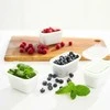 ROTHO Freeze - šaldiklis container - 6x250ml
